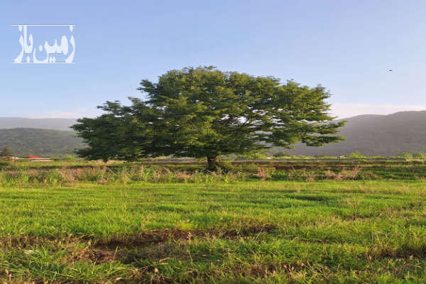 زمین کشاورزی در جیسا متل قو ۳۵۰۰ متر-3
