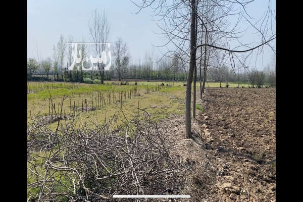 زمین باغی داخل طرح روستای خوشکاروندان ۳۶۴۳ متر-2