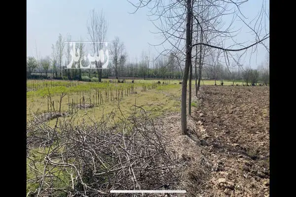 زمین باغی داخل طرح روستای خوشکاروندان ۳۶۴۳ متر - تصویر 2
