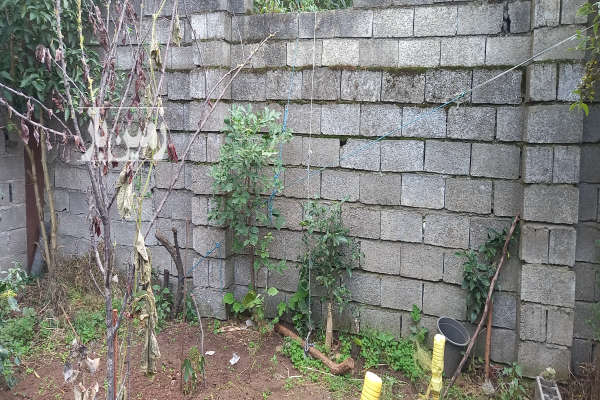 زمین با کاربری مسکونی واقع در روستای سورکوه ۳۵۰ متر-1