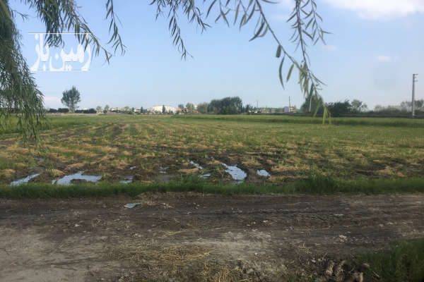 زمین کشاورزی ۸ هزار متر بغل ابندان-1