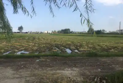 زمین کشاورزی ۸ هزار متر بغل ابندان