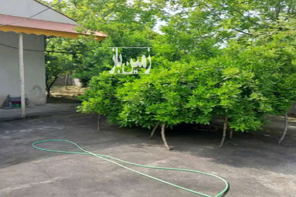 زمین مسکونی ۴۸۷ متری با بنا سمت جانبازان-1