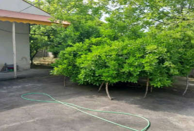 زمین مسکونی ۴۸۷ متری با بنا سمت جانبازان