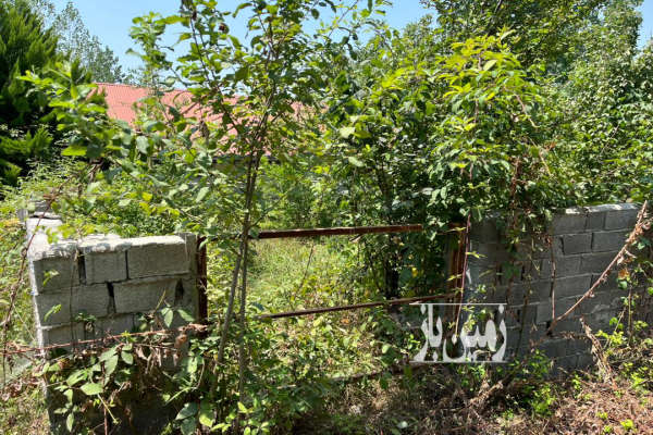 زمین مسکونی جاده گنج افروز روستای بابلکنار ۱۳۵ متر-2