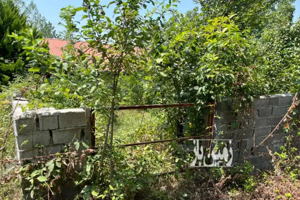 زمین مسکونی جاده گنج افروز روستای بابلکنار ۱۳۵ متر - تصویر 2