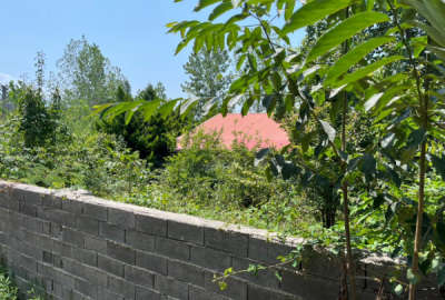 زمین مسکونی جاده گنج افروز روستای بابلکنار ۱۳۵ متر