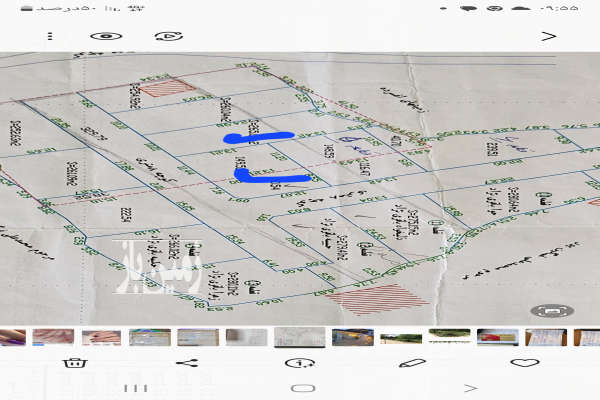 زمین ۲۶۵ متری روستای خالکیاسر بین چاف ولنگرود-1