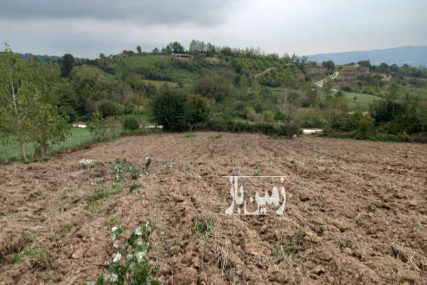 زمین کشاورزی در روستای امره کنار جاده اصلی گاز ۲۲۰۰ متر-2