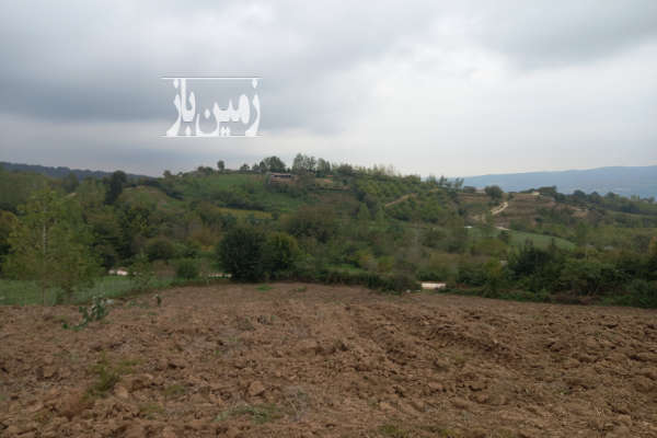 زمین کشاورزی در روستای امره کنار جاده اصلی گاز ۲۲۰۰ متر-4