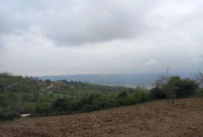 زمین کشاورزی در روستای امره کنار جاده اصلی گاز ۲۲۰۰ متر