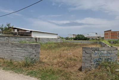 زمین مسکونی ۳۰۰ متر بهنمیر کاله