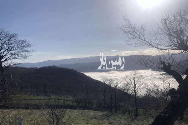 زمین باغ ۲۸۰ متر روستای باغگلبن-1