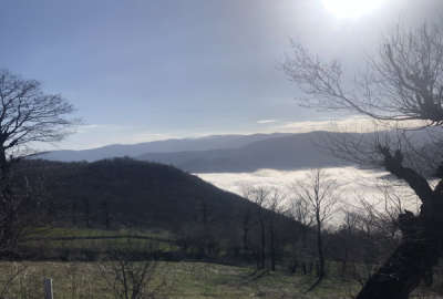 زمین باغ ۲۸۰ متر روستای باغگلبن