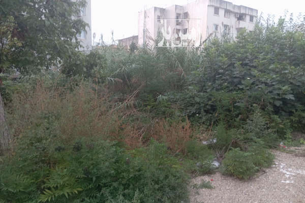 زمین ۲۴۰ متر مسکونی فارابی ساری-1