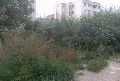 زمین ۲۴۰ متر مسکونی فارابی ساری