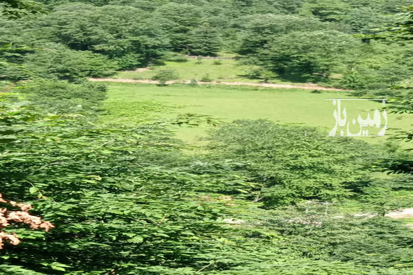 زمین ۱۳۰۰متر در تالش خطبه سرا روستایی محله عباسپور-1