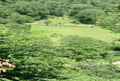 زمین ۱۳۰۰متر در تالش خطبه سرا روستایی محله عباسپور