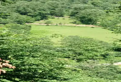 زمین ۱۳۰۰متر در تالش خطبه سرا روستایی محله عباسپور