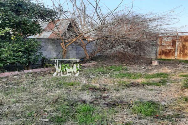 زمین ۳۰۰ متر شاقاجی کوچه معین آرا-2