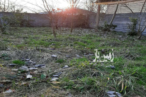 زمین ۳۰۰ متر شاقاجی کوچه معین آرا-4
