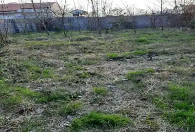 زمین ۳۰۰ متر شاقاجی کوچه معین آرا