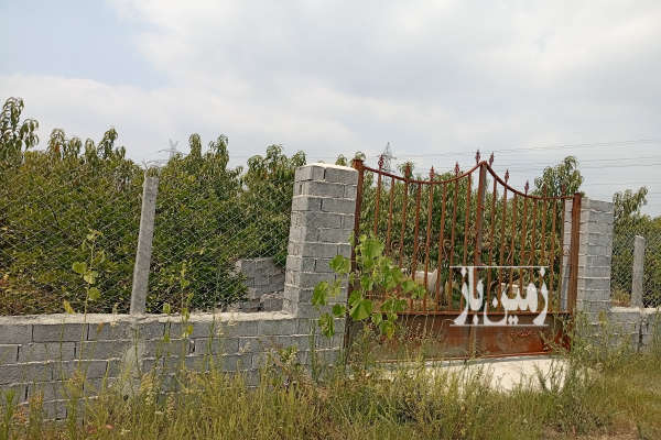 زمین ۳۵۰ متر در ساری روستای طاهرده-1
