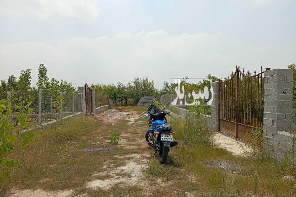 زمین ۳۵۰ متر در ساری روستای طاهرده-2