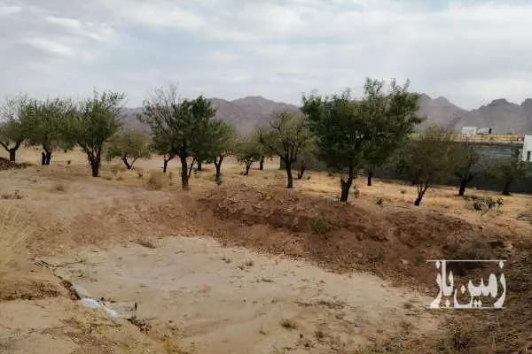 باغ با ۸۰۰ متر زمین ویلایی تنگ چنار دارای پسته - تصویر 3