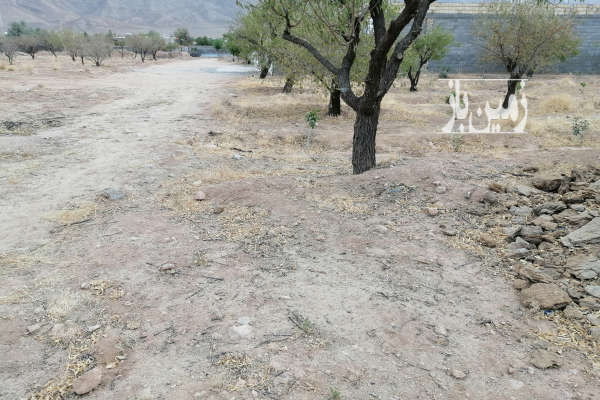 باغ با ۸۰۰ متر زمین ویلایی تنگ چنار دارای پسته-4