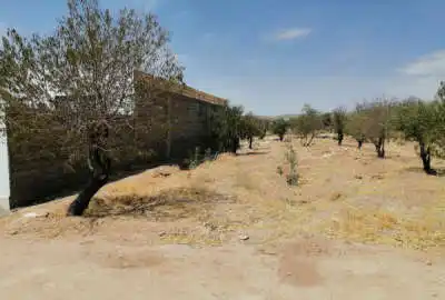 باغ با ۸۰۰ متر زمین ویلایی تنگ چنار دارای پسته