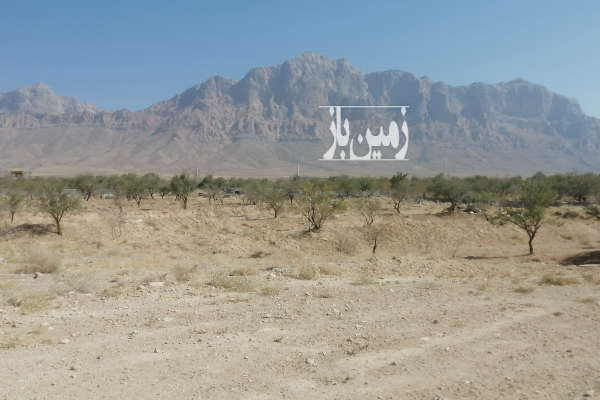 زمین ۴۰۰ متر در مهریز تنگ چنار کبک آباد-3