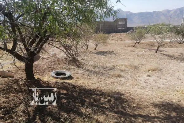 زمین ۴۰۰ متر در مهریز تنگ چنار کبک آباد - تصویر 4