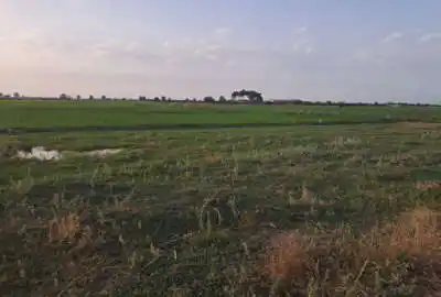 زمین ۱۵۸متری در جاده ۲۴متری از حسن آباد