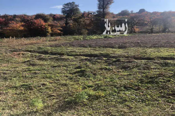 زمین مسکونی جاده کیاسر روستای سادات محله ۱۸۰۰ متر - تصویر 2