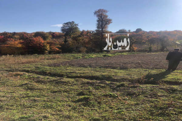 زمین مسکونی جاده کیاسر روستای سادات محله ۱۸۰۰ متر-4