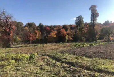 زمین مسکونی جاده کیاسر روستای سادات محله ۱۸۰۰ متر
