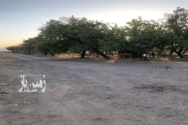 زمین در سربندان باغ فدک ۵۰۰ متر باغی زراعی-4
