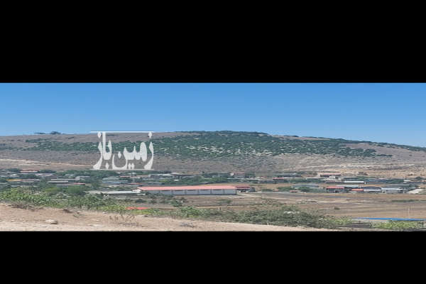 زمین در شهر کیاسر خیابان کشاورز ۲۰۰ متر-1