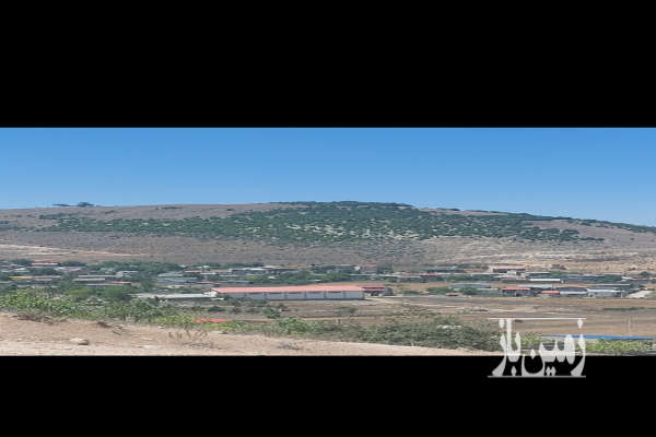 زمین در شهر کیاسر خیابان کشاورز ۲۰۰ متر-2