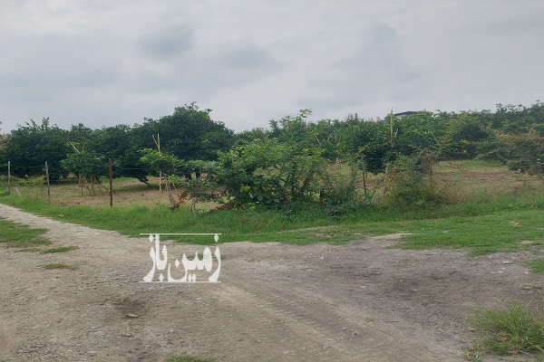 زمین باغی بابل شهرکتاب پائین مرزبال ۳۷۵۰ متر-2