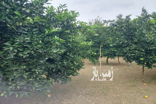 زمین باغی بابل شهرکتاب پائین مرزبال ۳۷۵۰ متر-3