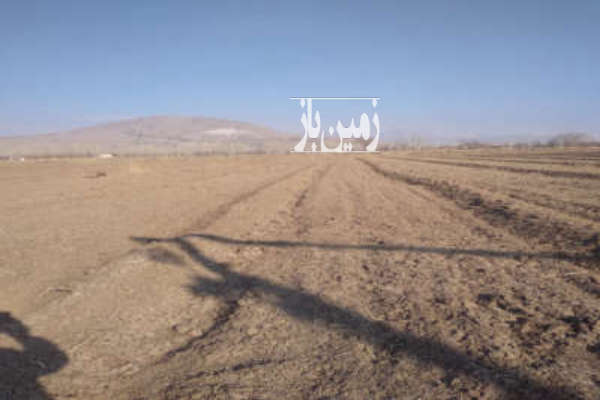 زمین مزرعه ای متراژ یک هکتار بندر محمد عامری-1