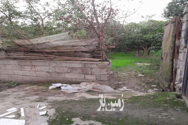 زمین ۳۰۰ متر واقع در بابل روستای خراسان محله-2