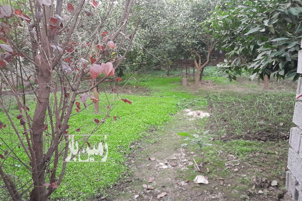 زمین ۳۰۰ متر واقع در بابل روستای خراسان محله-3