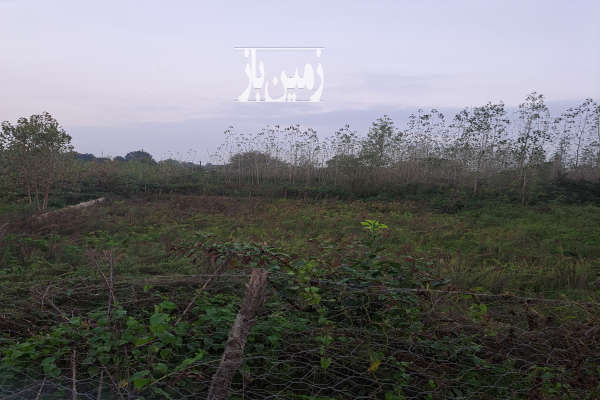 زمین مسکونی ۱۲۰۰متر فومن روستای کلفت-3