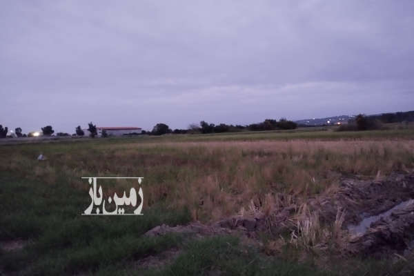 زمین کشاورزی شالیزار ساری ابتدای گرجی کلا ۵۲۲ متر-4