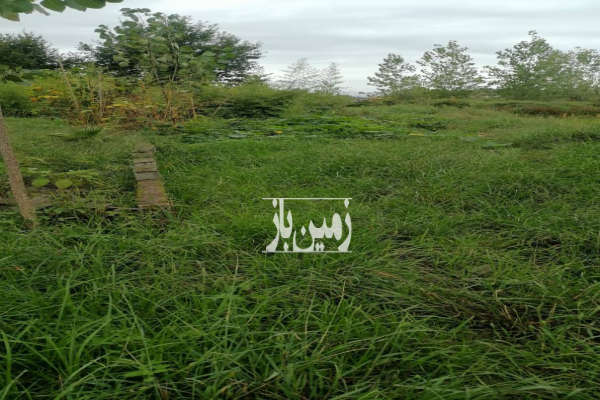زمین باغی ۲۱۷ متری شهر کومله لنگرود خشکسل-3