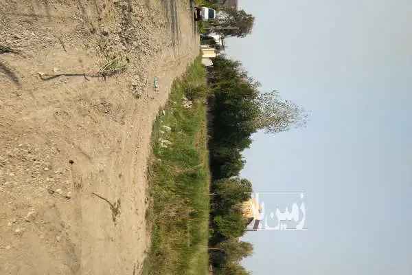 زمین ۱۳۰۰ متری واقع در روستای ارمک - تصویر 3