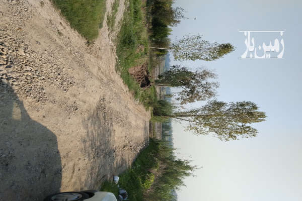 زمین ۱۳۰۰ متری واقع در روستای ارمک-4